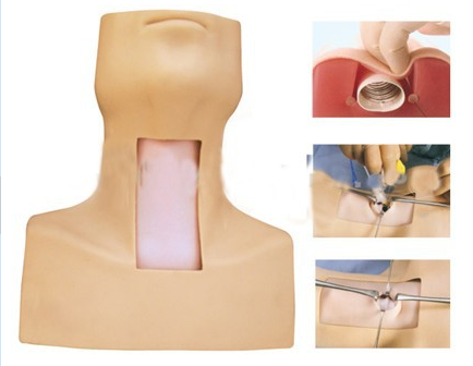 高級氣管切開插管訓練模型BIX-J58 