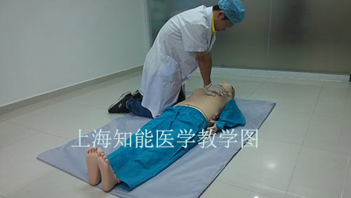 心肺復(fù)蘇（CPR）和心血管急救（ECC）指南