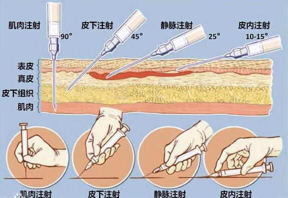 QQ截圖20170719140410.jpg