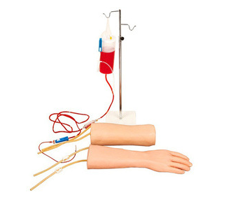 手部、肘部組合式靜脈（血）訓(xùn)練模型