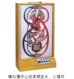 大、小循環(huán)電動(dòng)模型